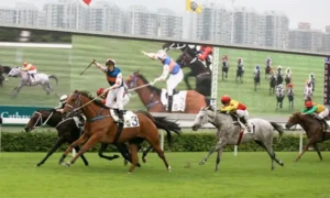 Khám Phá Cơ Hội Thắng Lớn Khi Tìm Hiểu Cá Cược Đua Ngựa VG99 Ngay Hôm Nay