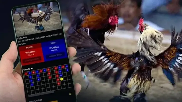 Kh&aacute;m Ph&aacute; Đ&aacute; G&agrave; VG99 Đỉnh Cao Cơ Hội Nhận Thưởng Lớn Mỗi Ng&agrave;y